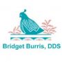 Bridget Burris DDS