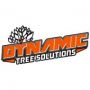 Dynamic Tree Solutions