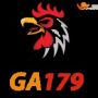 GA179 TOP