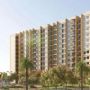 Birla trimaya