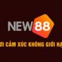 Neu88