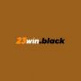 23WIN