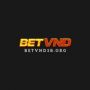 Betvnd