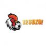 123dzotv