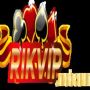 rikvipwebcam
