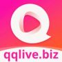 taiiosqqlivebiz