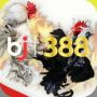 BJ388