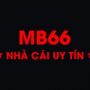 Nhà cái uy tín Tổng hợp các điểm cá cược chất lượng 2024