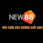 Nhà Cái New88