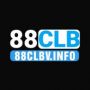 88CLBV Info