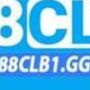 88CLB1