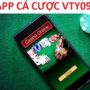 VTY09