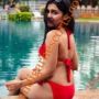 Chandigarh Escorts