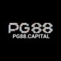 PG88 Capital
