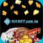 shbetcomim