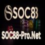 Soc88-pro Net