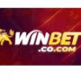 Cổng game Winbet