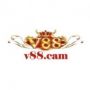 v88cam