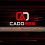 cado888