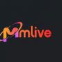 mmlivebid
