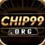 cgchip99