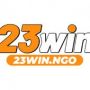 23WIN