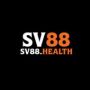 SV88