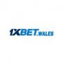 Nhà Cái 1xbet