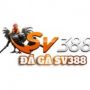 đá gà sv388