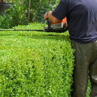 Grounds Maintenance