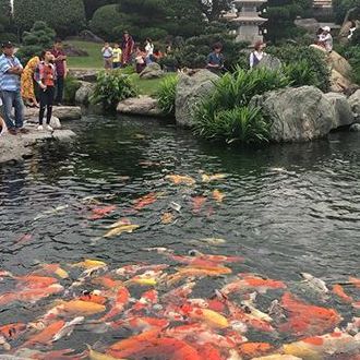 Thiet ke thi cong ho ca canh