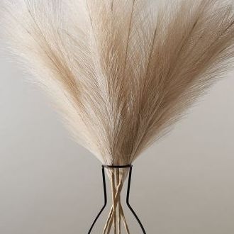 outline vase with pampas grass
