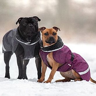 Full Body Waterproof Dog Suit
