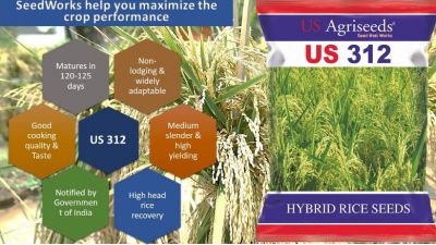 Hybrid Rice Seed Companies in India -We @ SeedWorks provides a dynamic hybrid rice solution by committing to deliver superior products with our vast research programs since inception. Present across all segments and geographies of hybrid rice, SeedWorks promises to enhance farm sustainability by offering a unique value proposition contributing towards farmer’s prosperity. Website - https://www.seedworks.com/hybrid-rice/