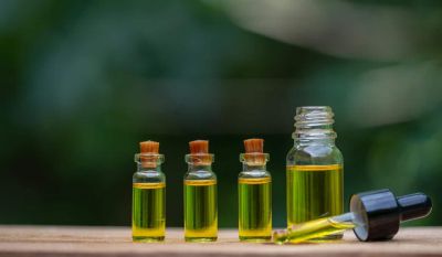 CBD gummies have been the star products for quite some time now, all thanks to their good taste and flavor. Everyone loves how sweet and yummy these little wonders taste while being health benefits too.https://savagecabbage.co.uk/full-spectrum-cbd-oil/