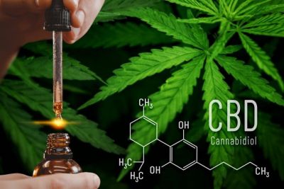 If you're looking for a marijuana dispensary near me, you can expect a comfortable and professional atmosphere where you can browse and purchase cannabis products. Many dispensaries offer a wide range of strains with varying levels of THC and CBD to cater to different customers' needs. You may also find a variety of smoking and vaping accessories, as well as edibles, tinctures, and topicals. Some dispensaries even offer delivery services, making it easy for customers to get their favorite products delivered right to their doorstep. Visit https://www.kayadc.co/