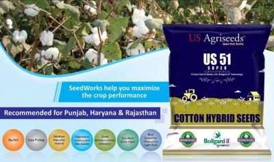 Cotton Seeds Company - SeedWorks is committed towards delivering unique and value driven products for diverse Indian geography and segments. With our research capabilities, and rigorous processes we have built a strong portfolio catering to need of cotton growers. 

Website - https://www.seedworks.com/cotton-seeds/