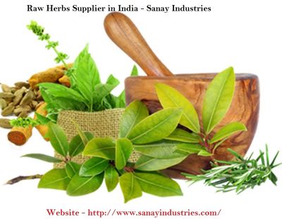 Raw Herbs Supplier in India - Sanay Industries Most Raw herbs supplier in India. Our transactions transcend global boundaries reaching the corridors of the Middle East, South America &amp; Europe. The ultimate collection of Raw herbs has made us a trendsetter in the market. 

Website - http://www.sanayindustries.com/raw-herbs.php