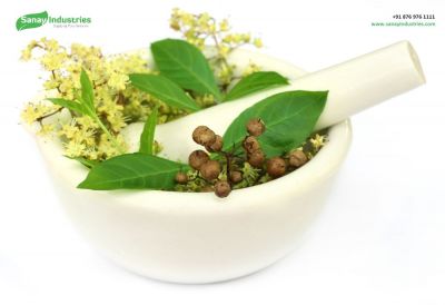Sanay Industries is a trusted Herbs Supplier in India, offering a diverse range of premium-quality herbs. With a commitment to excellence and adherence to industry standards, we provide reliable and superior herbs sourced responsibly. Choose Sanay Industries for a consistent and trusted source of high-quality herbs in the Indian market.
http://www.sanayindustries.com/raw-herbs.php